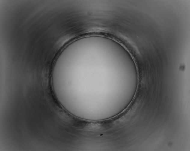 X0000102871313200809021438