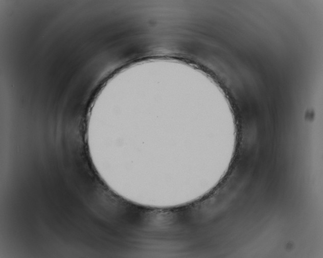 X0000102871314200809021438