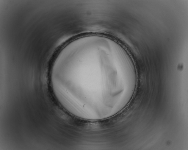 X0000102871315200809021438