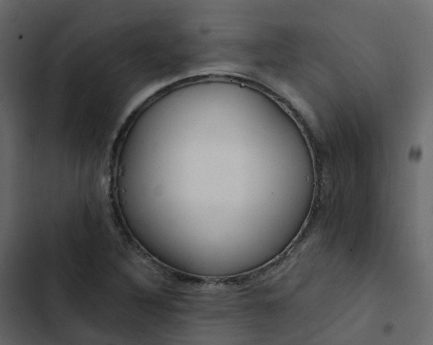 X0000102871316200809021438