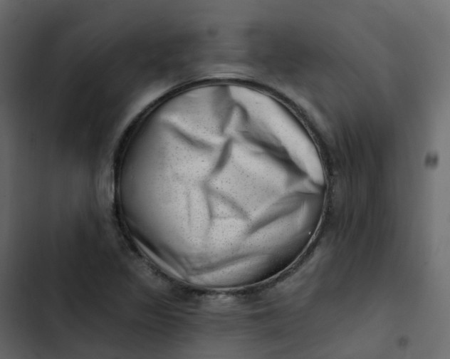 X0000102871317200809021438