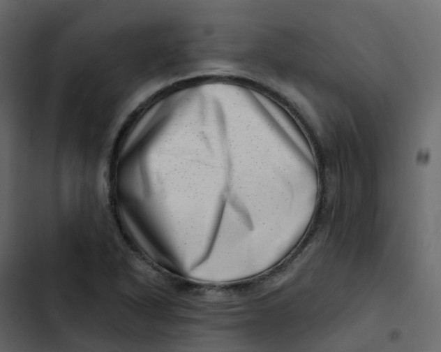 X0000102871318200809021438