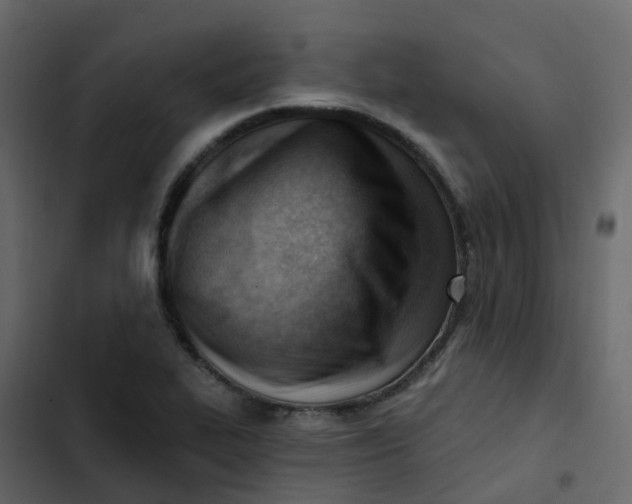 X0000102871319200809021438