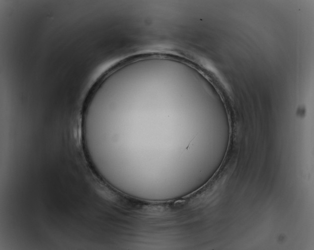 X0000102871320200809021438