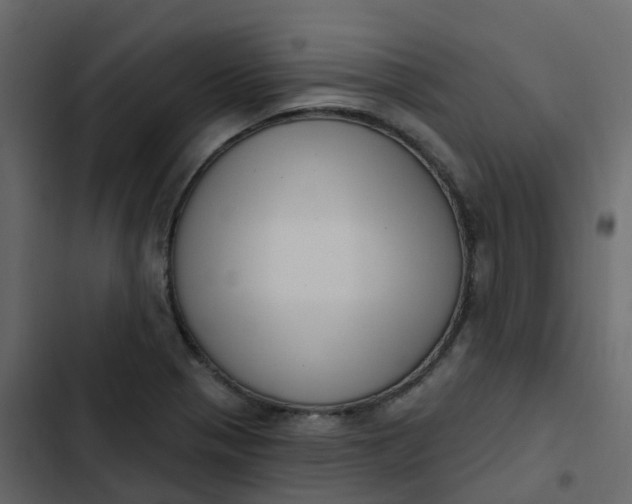 X0000102871321200809021438