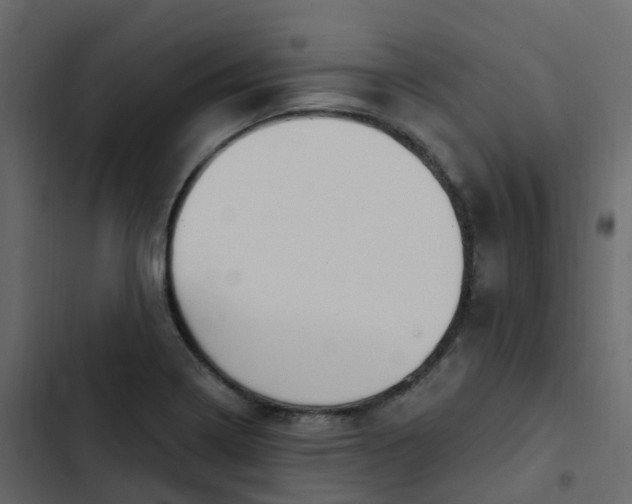 X0000102871322200809021438