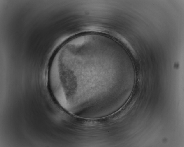 X0000102871323200809021438