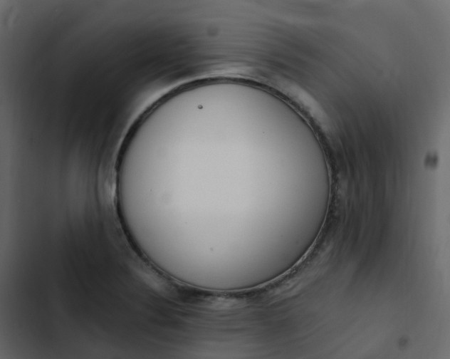 X0000102871324200809021438