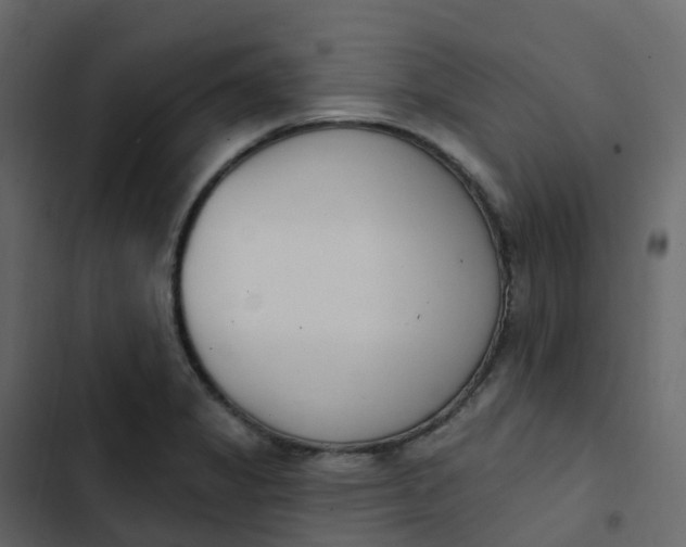 X0000102871325200809021438