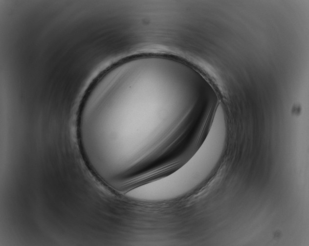 X0000102871326200809021438