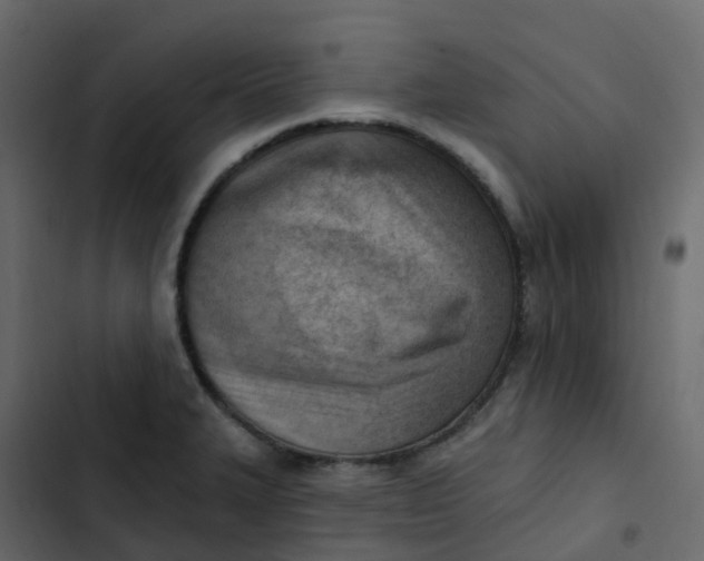 X0000102871327200809021438