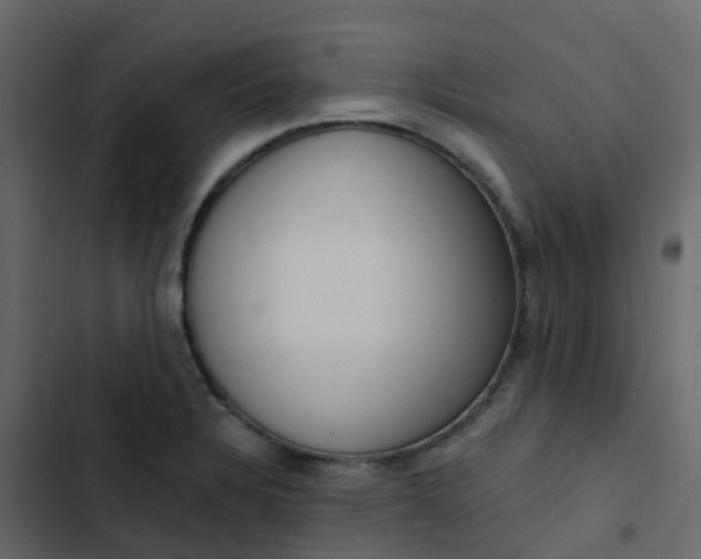 X0000102871328200809021438