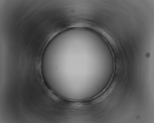 X0000102871329200809021438