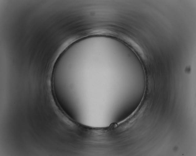 X0000102871330200809021438