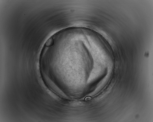 X0000102871331200809021438