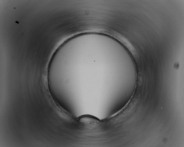 X0000102871332200809021438