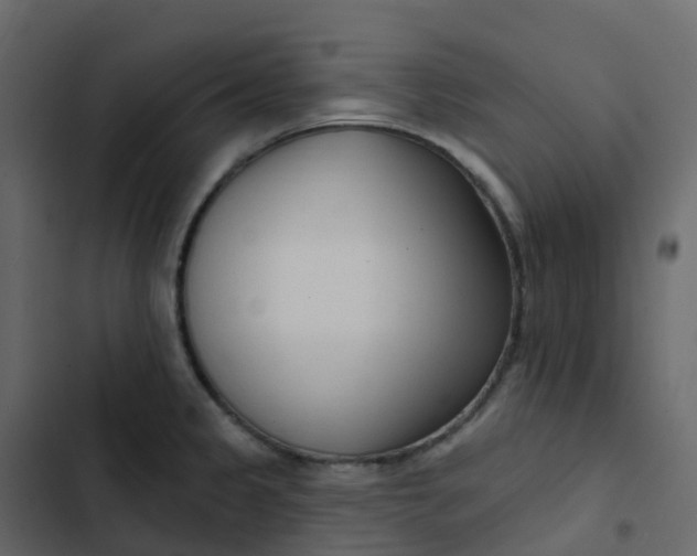 X0000102871333200809021438