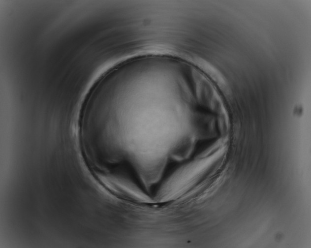 X0000102871334200809021438