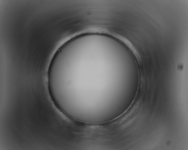 X0000102871335200809021438