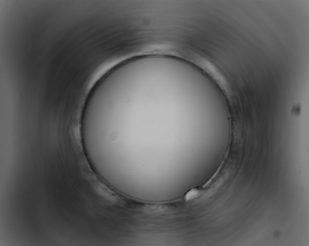 X0000102871336200809021438