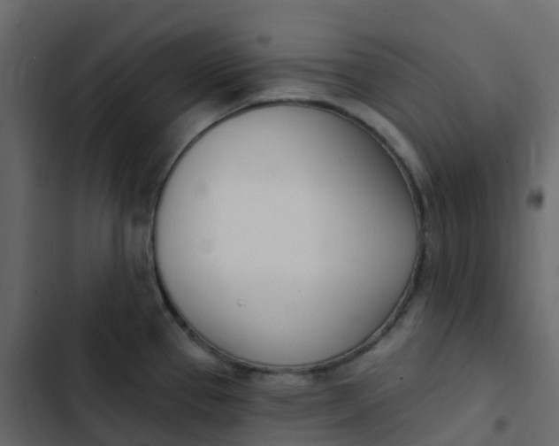 X0000102871337200809021438