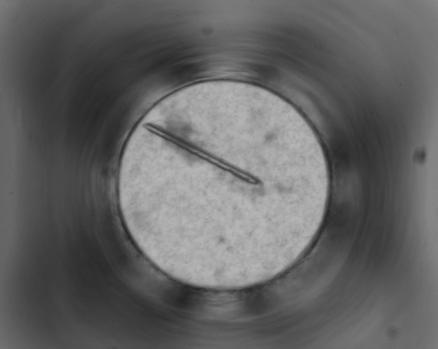 X0000102871338200809021438