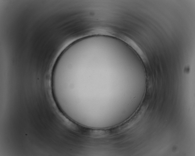 X0000102871339200809021438