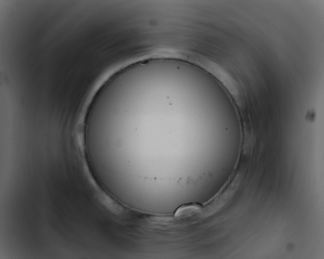 X0000102871342200809021438