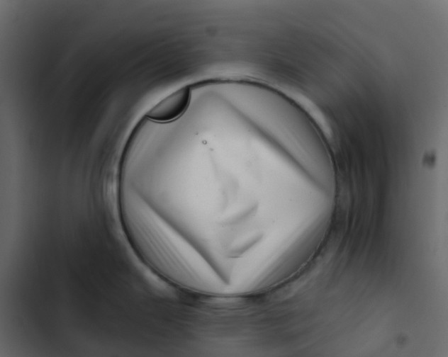 X0000102871343200809021438