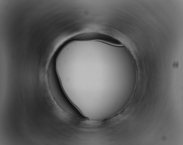 X0000102871344200809021438