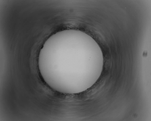 X0000102871345200809021438