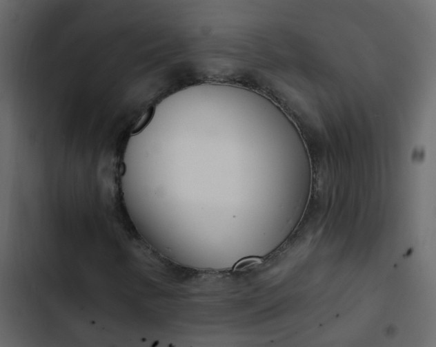 X0000102871346200809021438