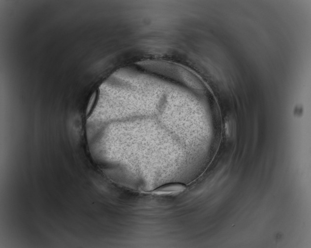 X0000102871347200809021438