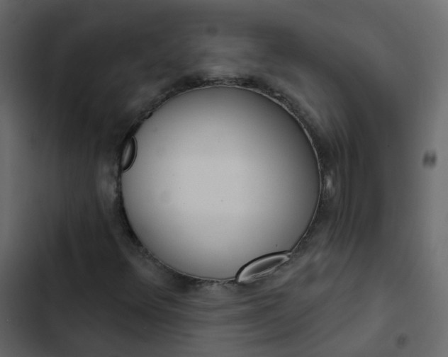 X0000102871348200809021438