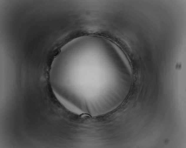 X0000102871349200809021438