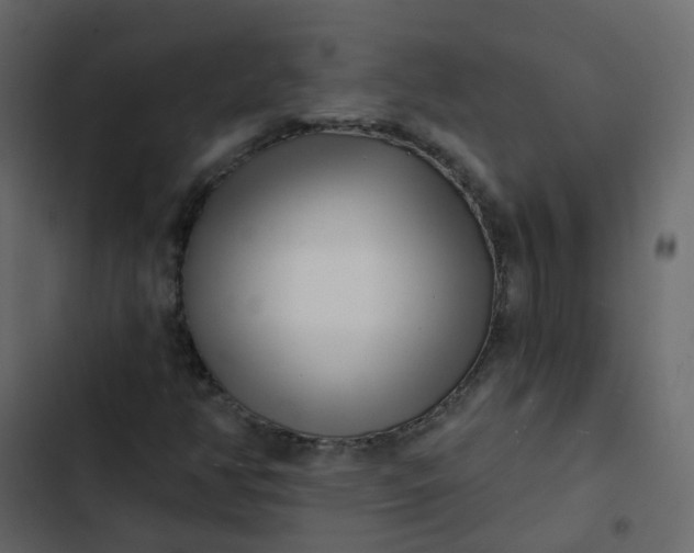 X0000102871350200809021438