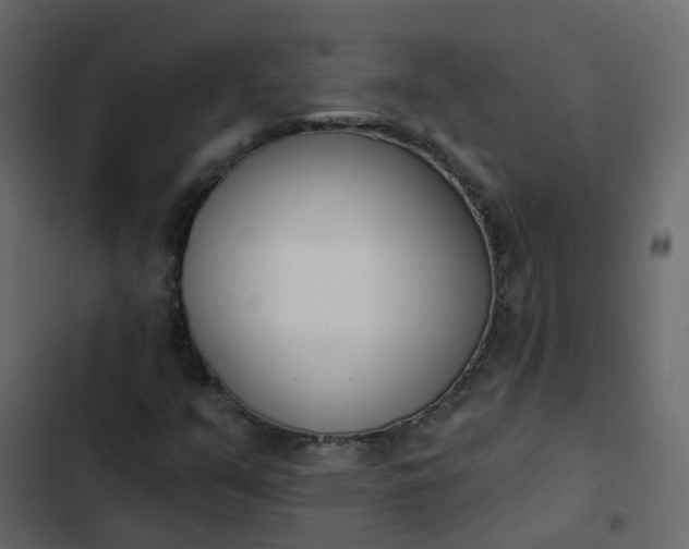 X0000102871351200809021438