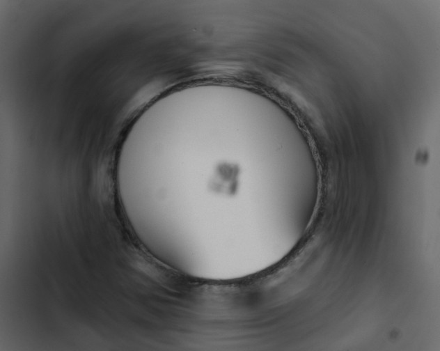 X0000102871354200809021438