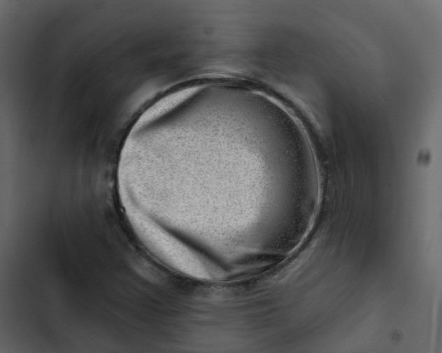 X0000102871355200809021437