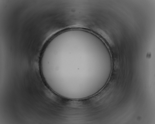 X0000102871356200809021437