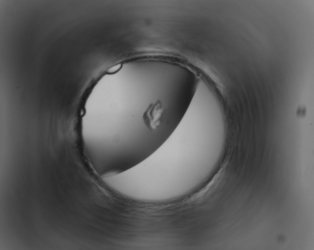 X0000102871357200809021437