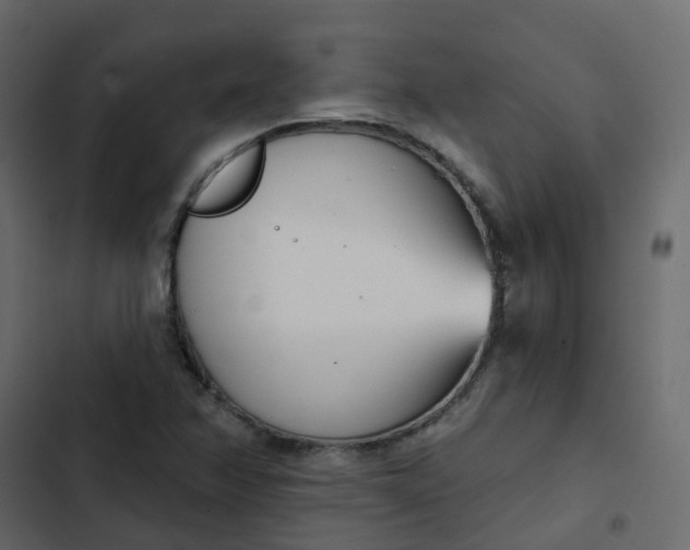 X0000102871358200809021437