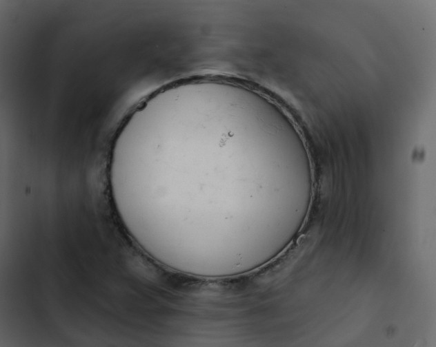 X0000102871359200809021437