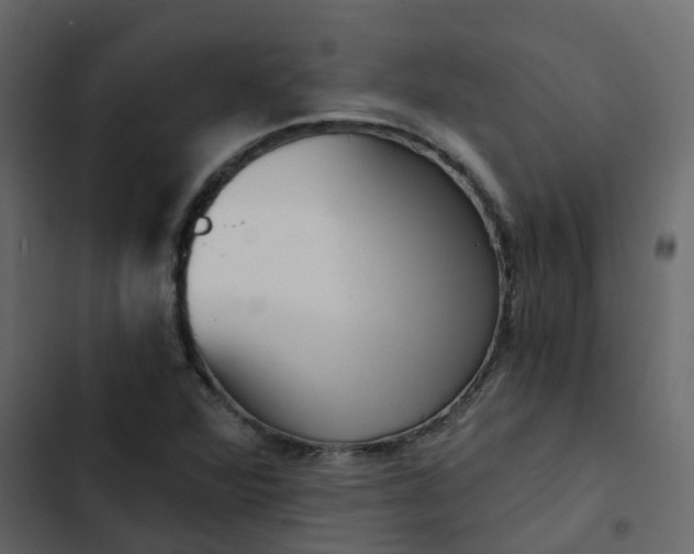 X0000102871360200809021437