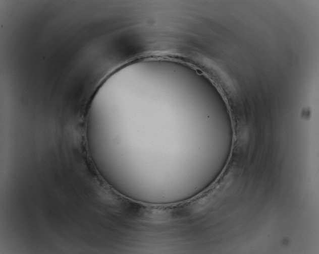 X0000102871361200809021437