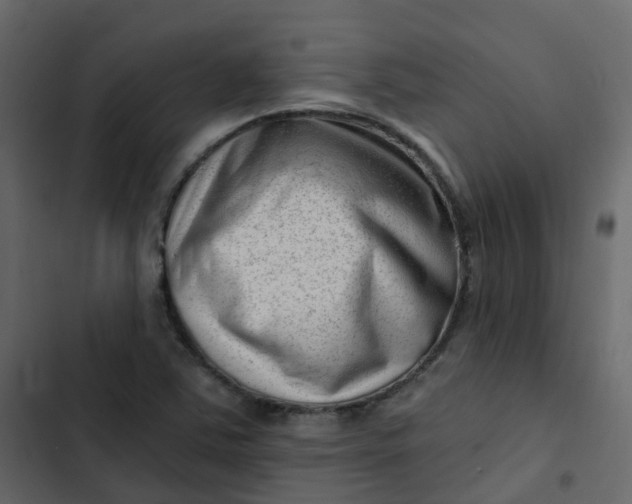 X0000102871363200809021437