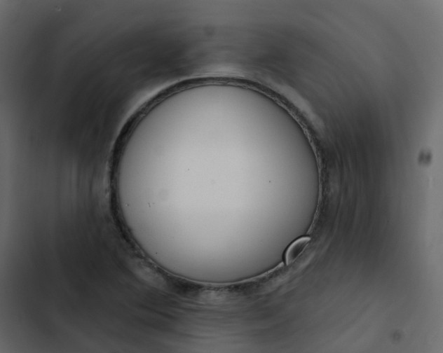 X0000102871364200809021437