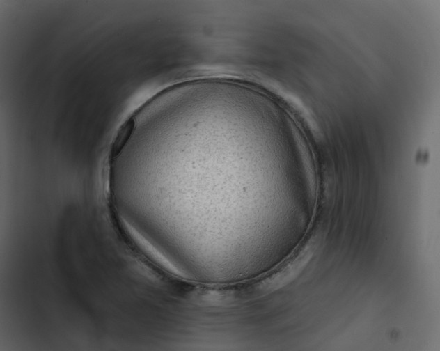 X0000102871365200809021437