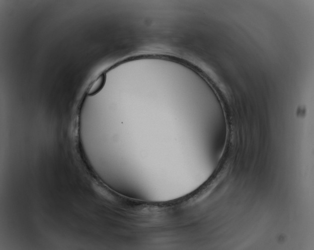 X0000102871366200809021437