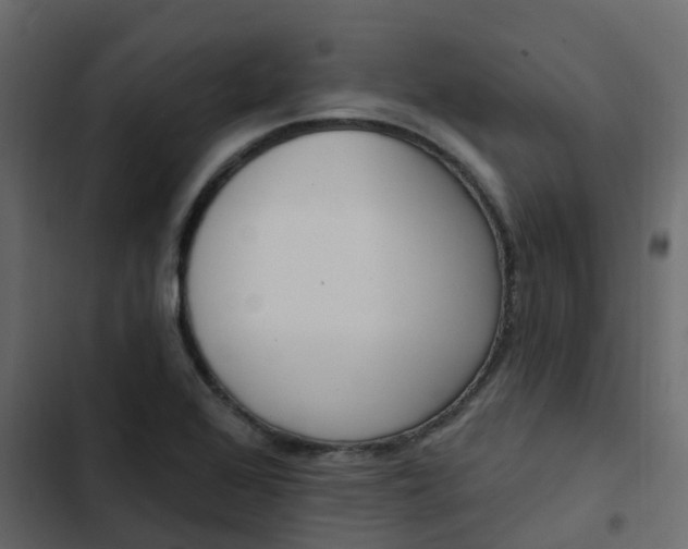 X0000102871368200809021437